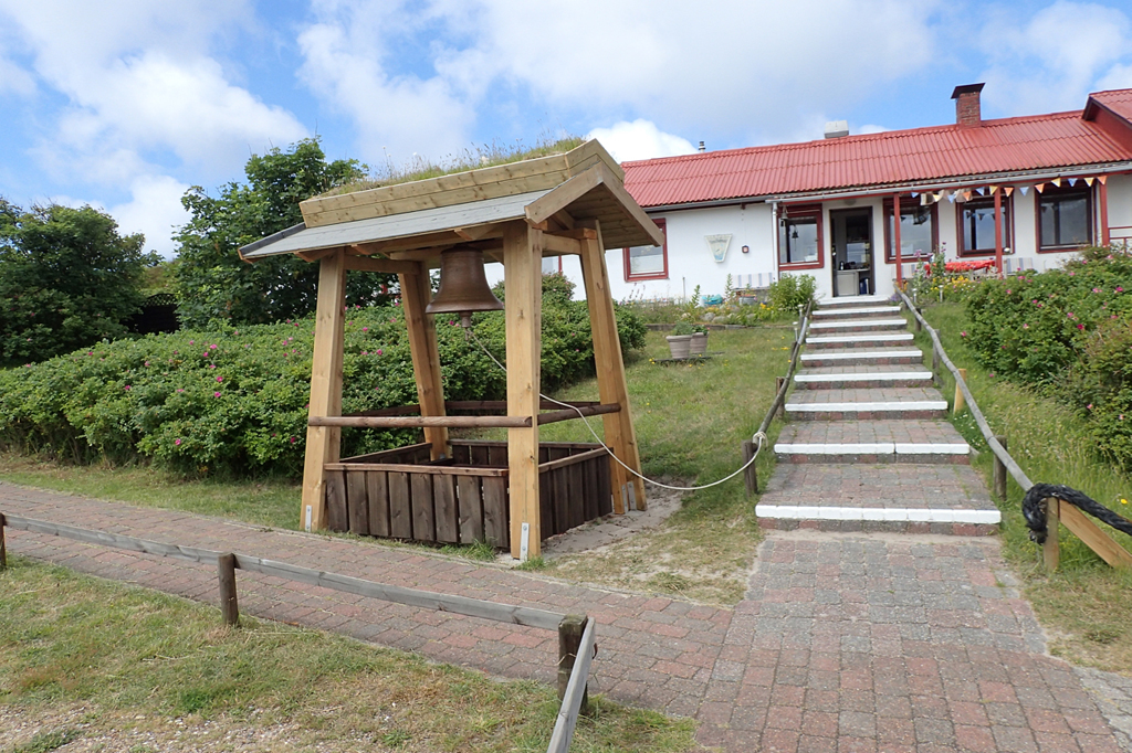 Strandläufernest — photo 8